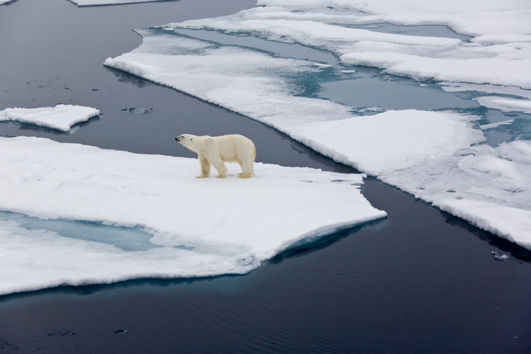 Global Restructuring: The World Community Prepares to Fight Climate Change