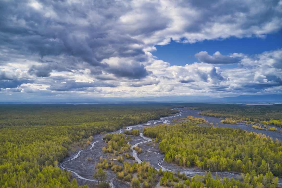 ‘Idea of Environmental Protection Should Become Part of Foreign Policy’